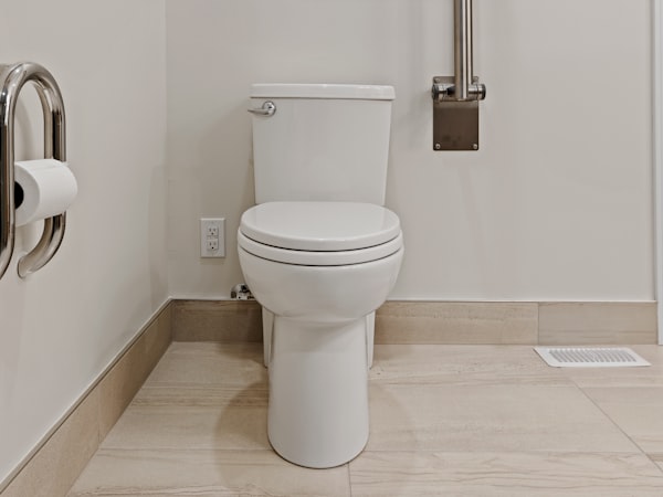 ราวพยุงลุกนั่งข้างชักโครก Vive Toilet Safety Rail (LVA1010)